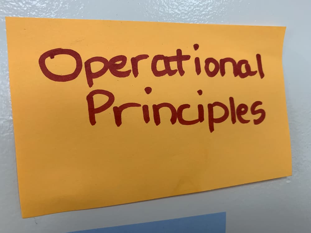 Alpha.CA.gov operational principles