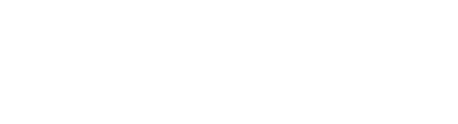 Governor Gavin Newsom