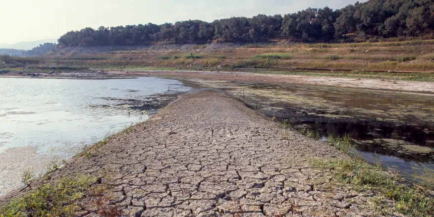 A pond of water split by a peninsula of cracked, dry ground