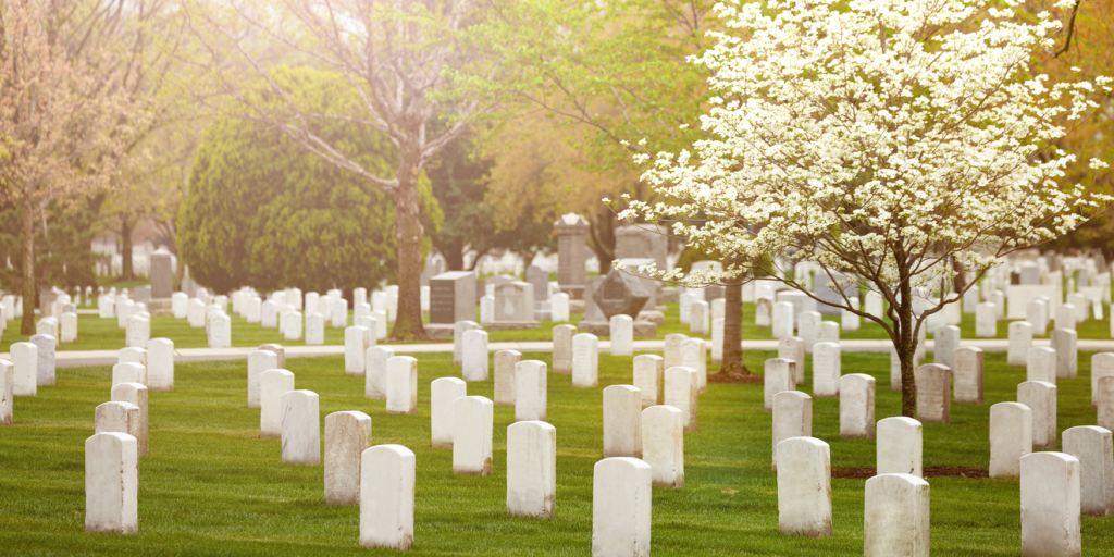 A peaceful cemetery with green grass, white headstones, and trees in bloom